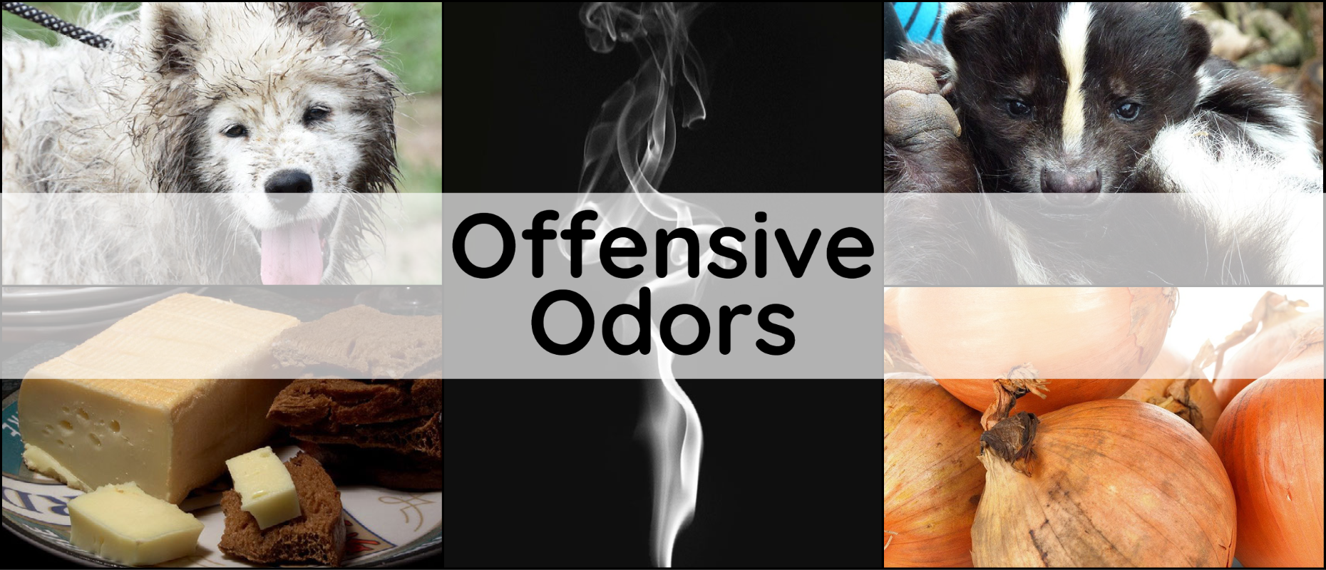 offensive-odors